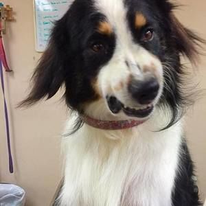 Meet your Posher, Jane